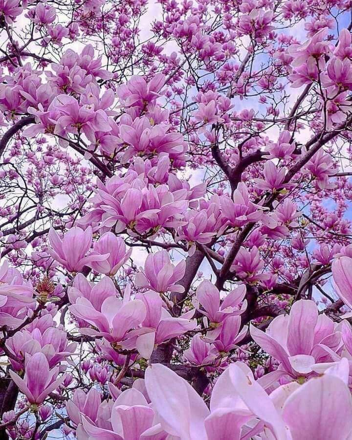 Corporate floral consultation example